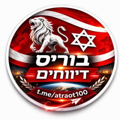 בוריס דיווחים