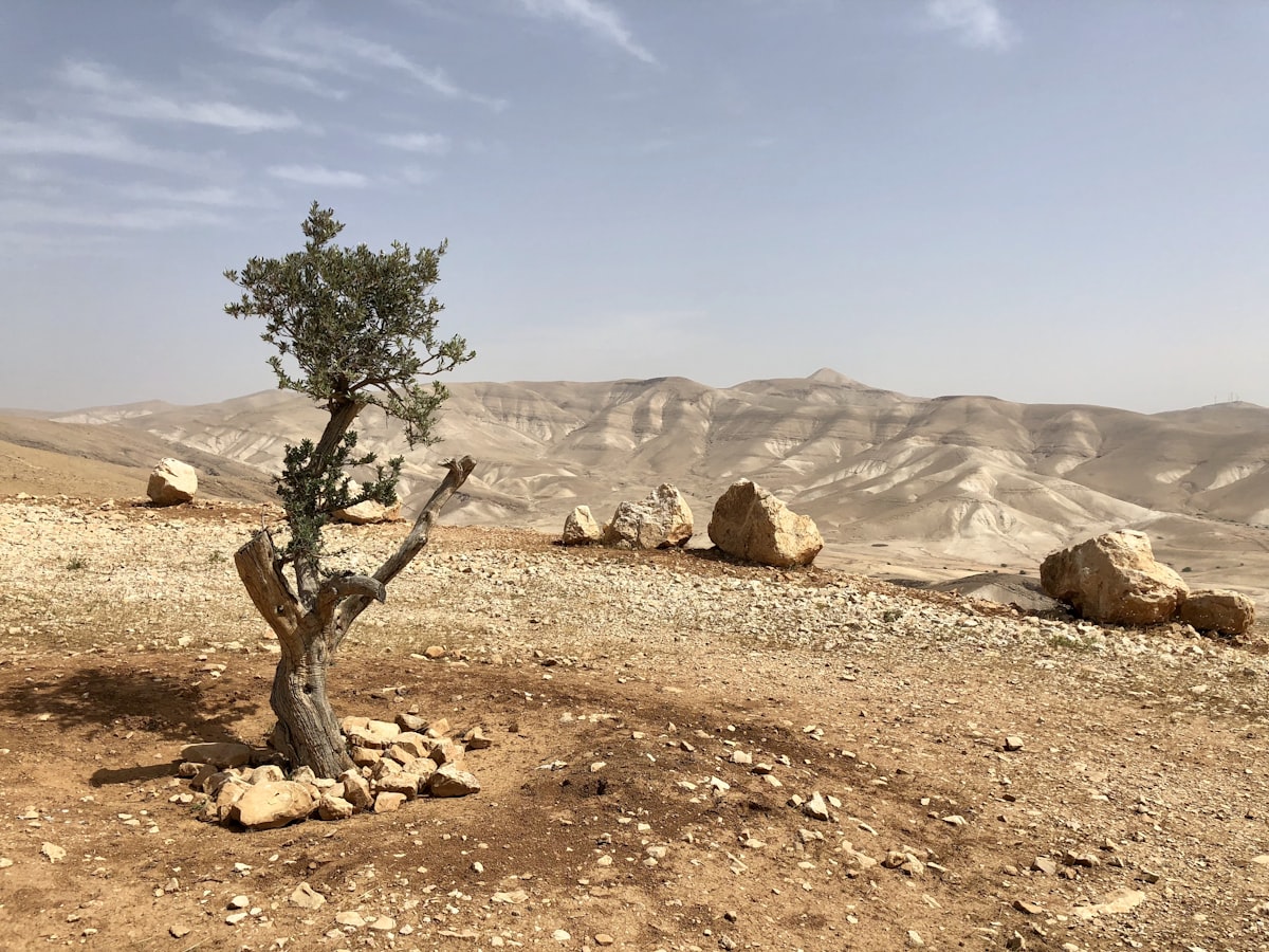 קבוצות וואטסאפ לטיולים בארץ - טיולי יום, טרקים ומסלולים